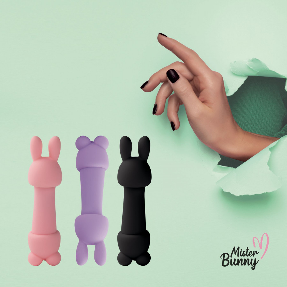 Вибропули и мини-вибраторы - Мини-вибратор FeelzToys Mister Bunny, Pink 1