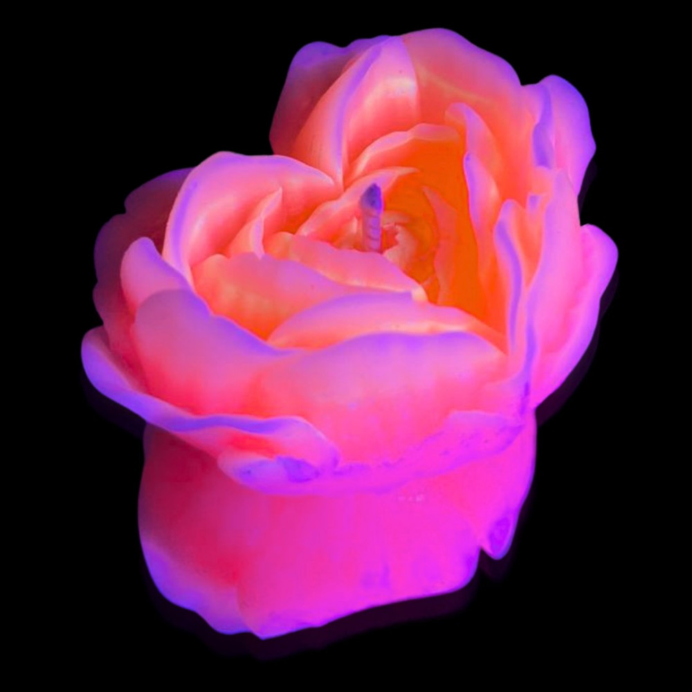 Різне - Cвiчка люмінісцентна низькотемпературна GlowKink персикова, М 2