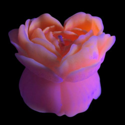 Свеча люминисцентная низкотемпературная GlowKink розовая, М