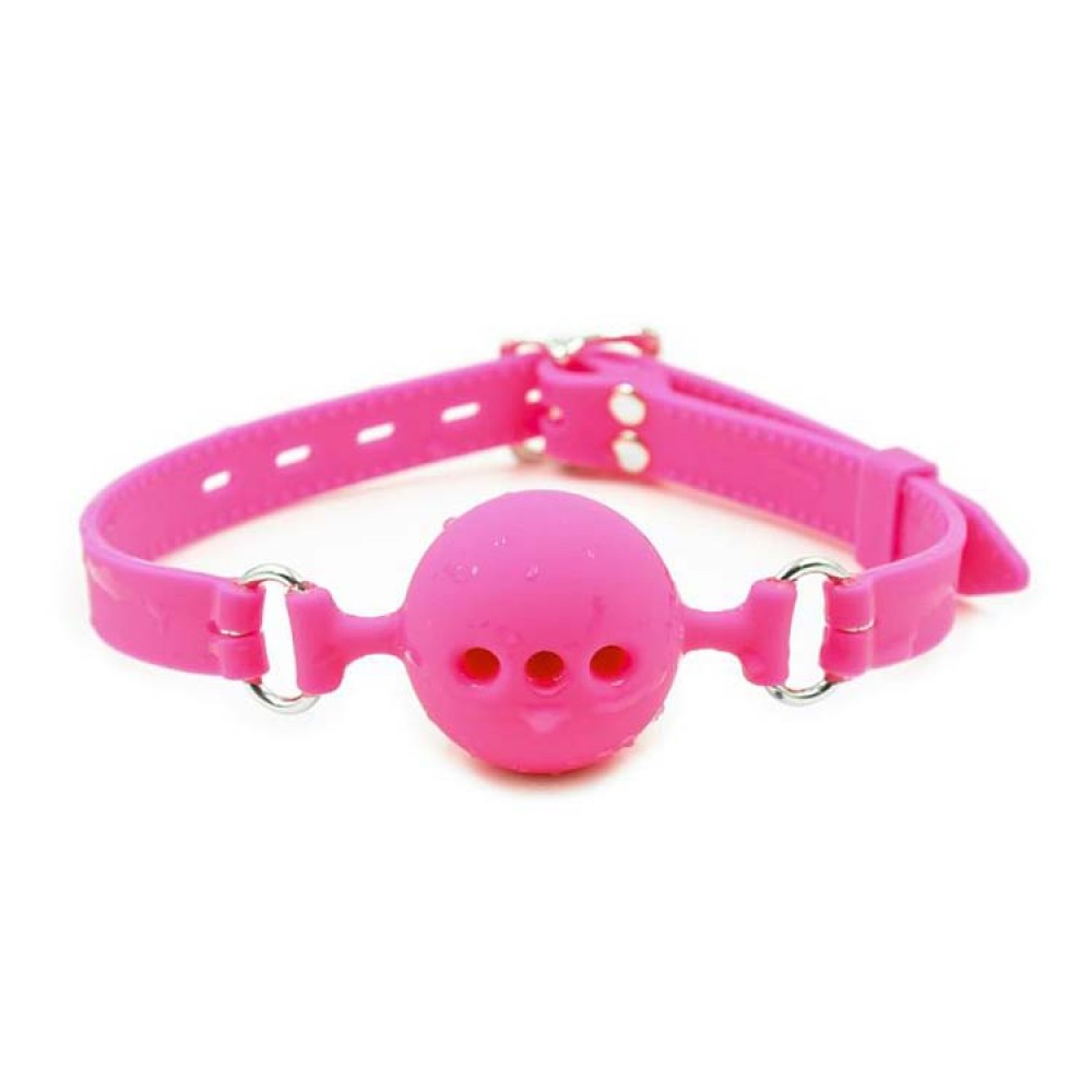 БДСМ игрушки - Кляп DS Fetish Silicone gag M pink 3