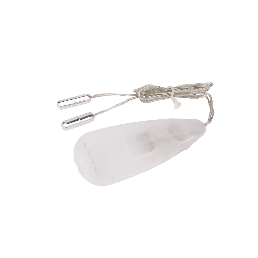  - Міні-вібропулі CHISA Hi-Basic Mini Twins Bullets на провідному пультом, сріблясті 2