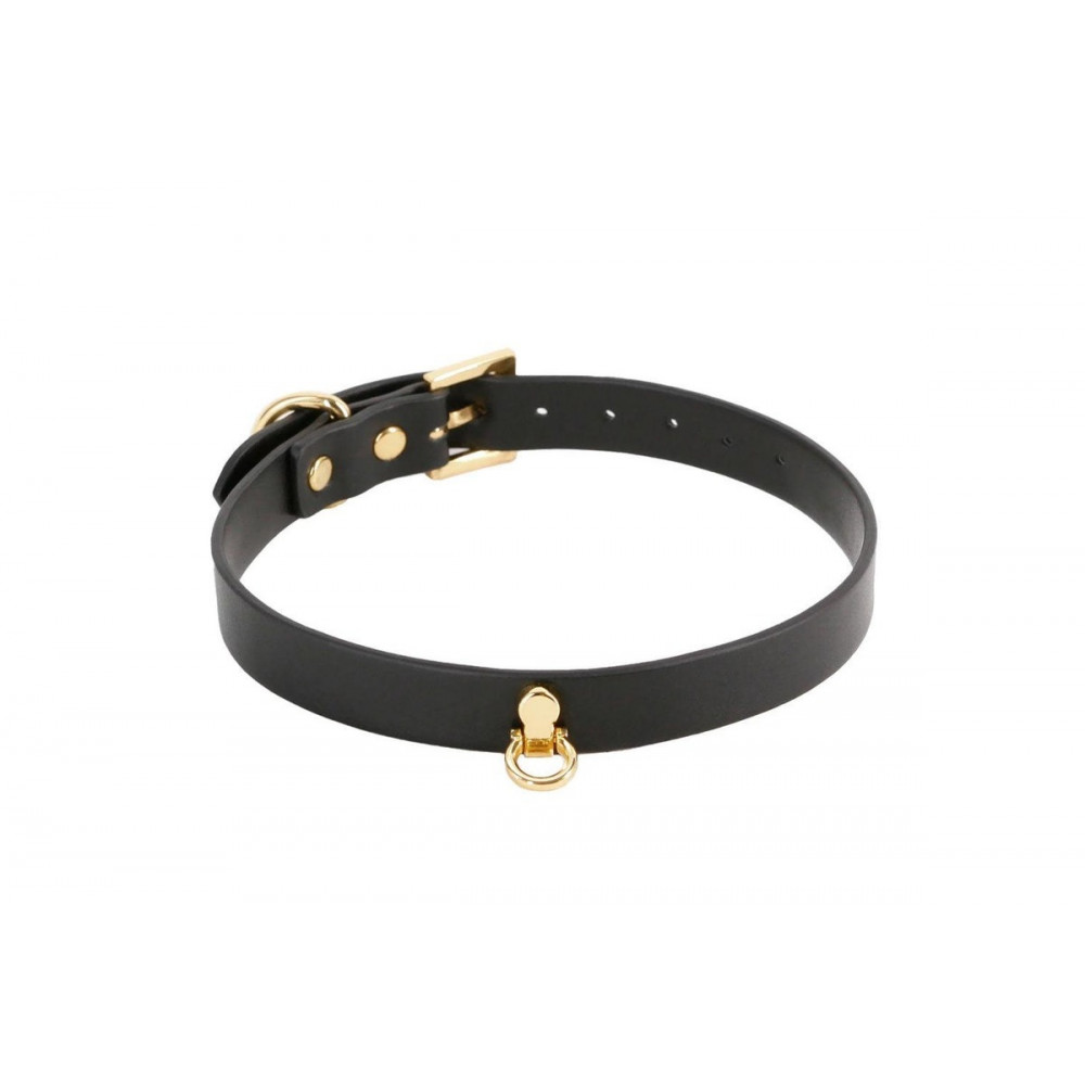 Разное - Ошейник с золотистой фурнитурой NS Novelties Fetish & Fashion, черный 1