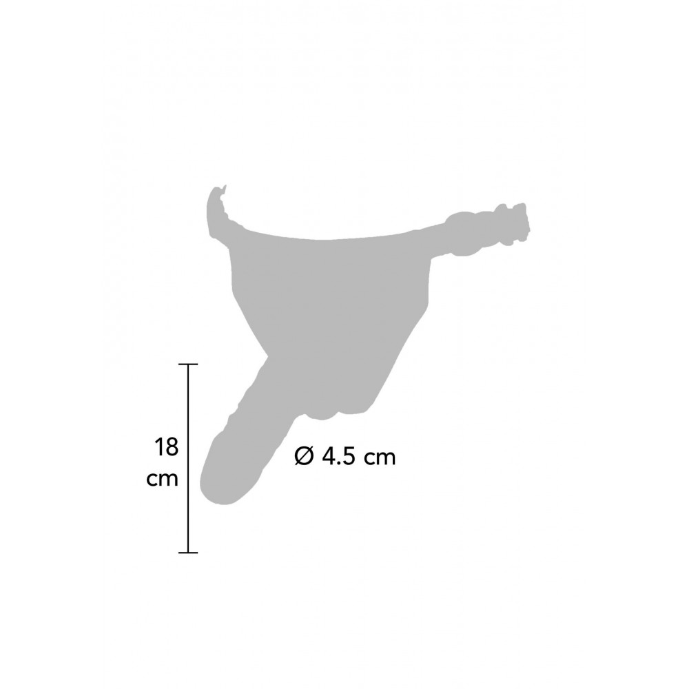 Разное - Страпон реалистичный ToyJoy Superwoman на черных трусиках 1