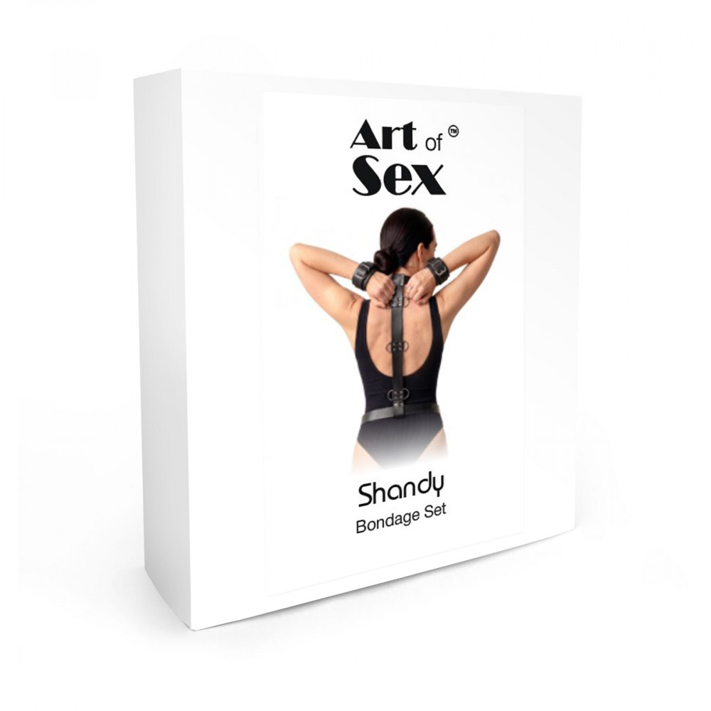 БДСМ игрушки - Бондажный набор Art of Sex - Shandy L-2XL, экокожа, черный 2