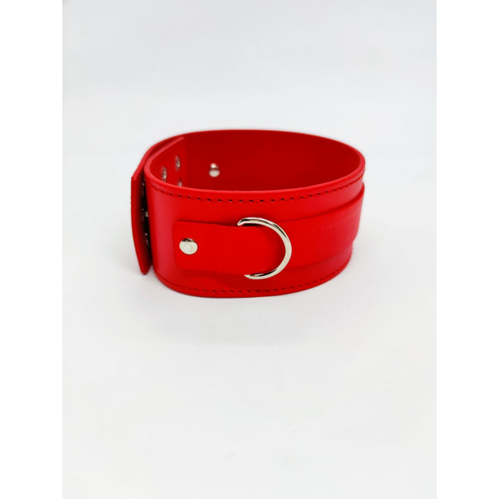 БДСМ игрушки - Ошейник с поводком DS Fetish Collar with leash red metal 1