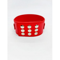 Ошейник с поводком DS Fetish Collar with leash red metal