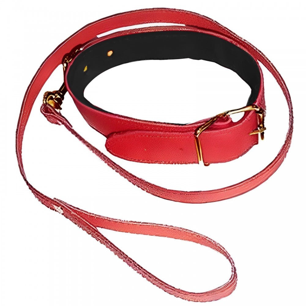 БДСМ игрушки - Ошейник с поводком DS Fetish Collar with leash red