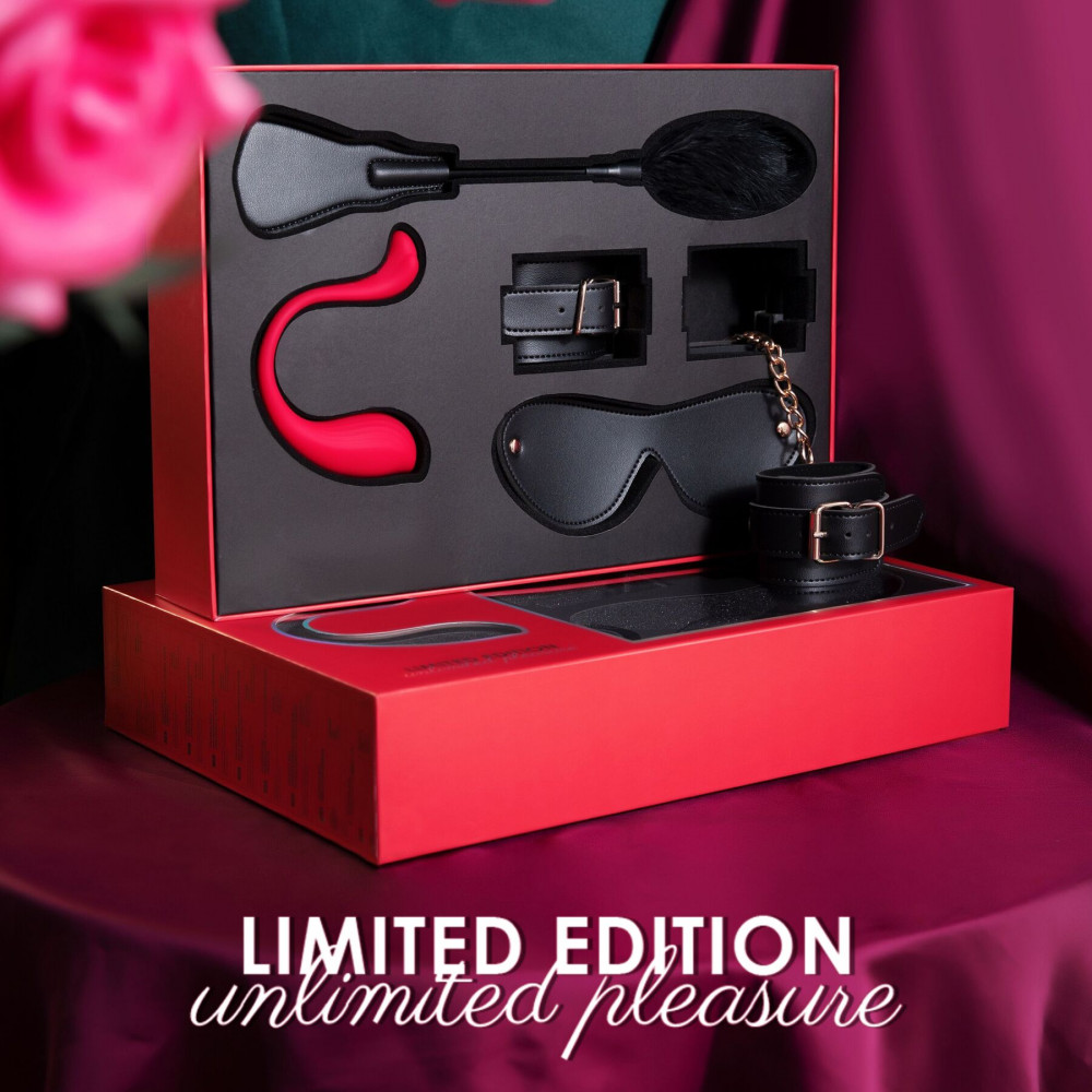 Наборы для БДСМ - Набор Svakom BDSM GIFT BOX Limited Edition Unlimited Pleasure 4