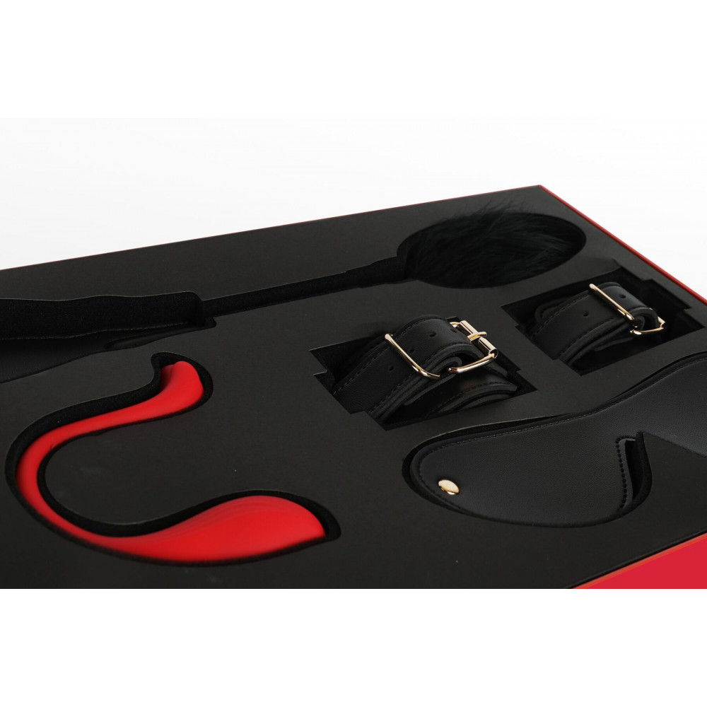 Наборы вибраторов - Премиальный подарочный набор для нее Svakom Limited Gift Box с интерактивной игрушкой 2