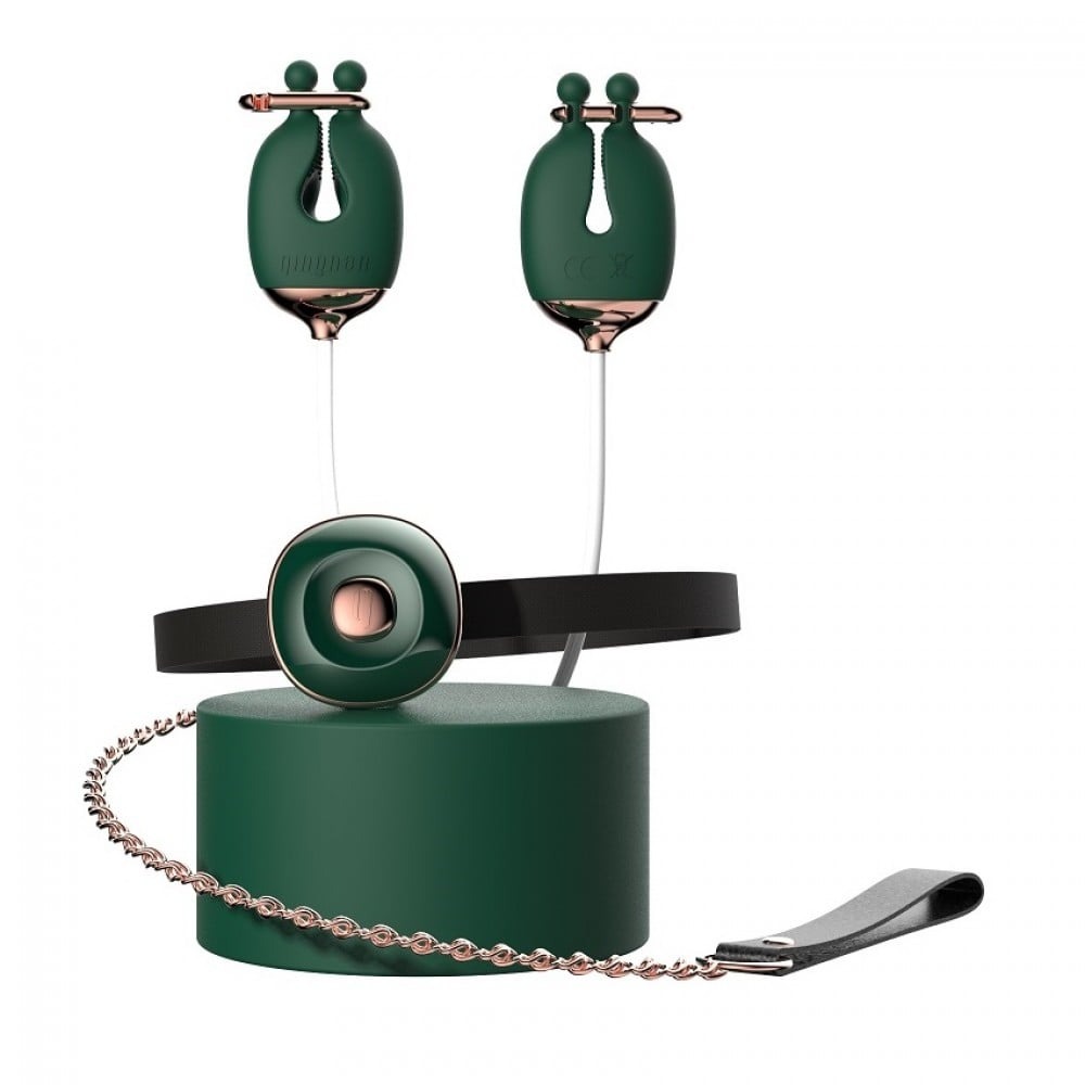 Різне - Набір затискачі для сосків з вібрацією та нашийник з повідцем Qingnan No.2, зелений