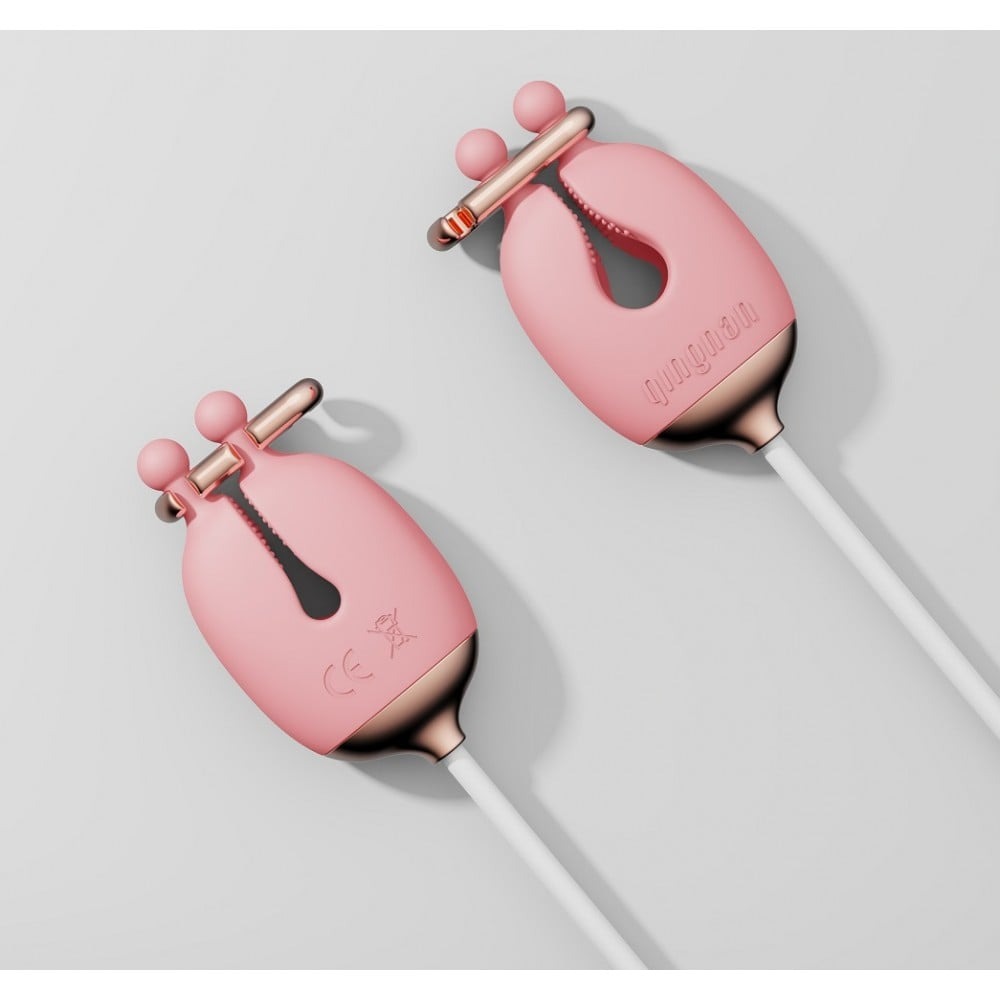 Різне - Набір затискачі для сосків з вібрацією та нашийник з повідцем Qingnan No.2, рожевий 1