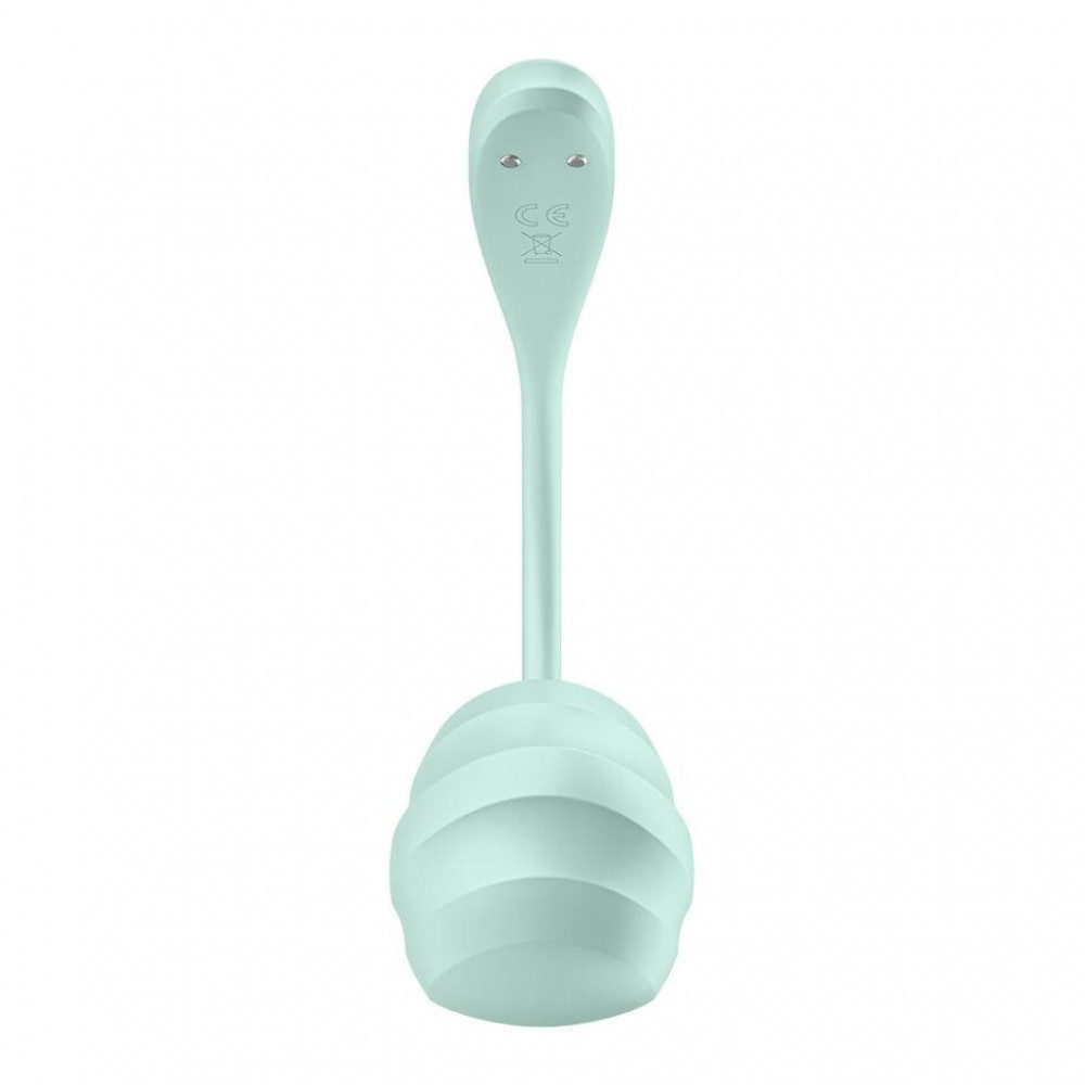 Виброяйцо - Виброяйцо Satisfyer Smooth Petal Connect App Light Blue 2