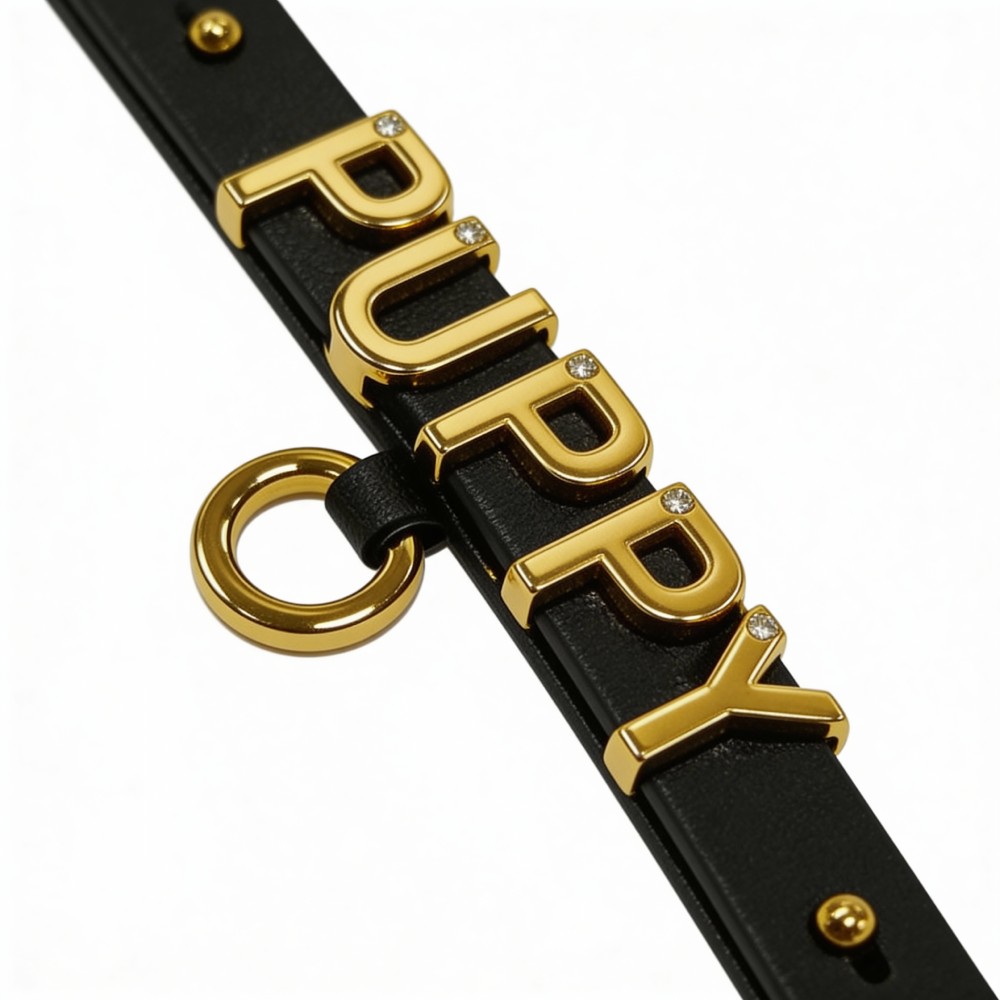 Різне - Чокер з написом PUPPY від UPKO з італійської шкіри, чорний із золотою фурнітурою 5