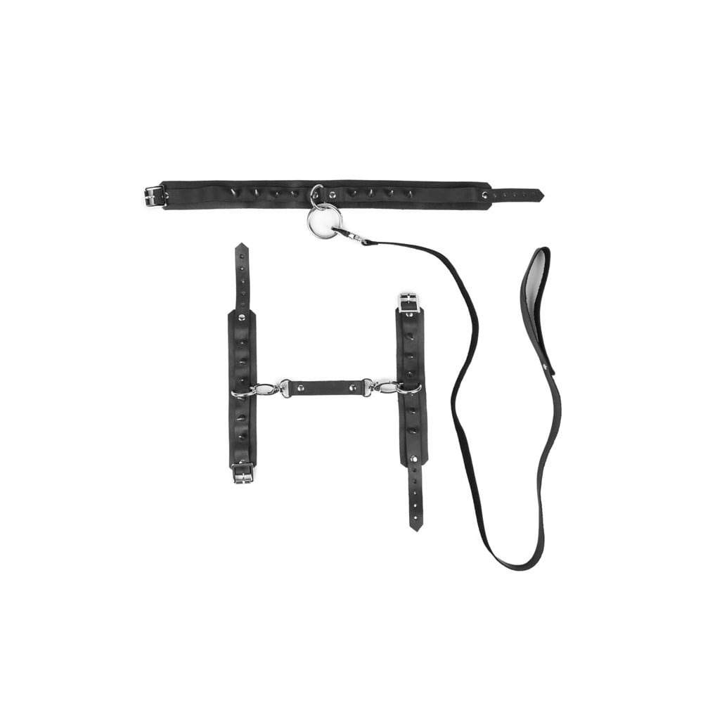 Різне - Нашийник із шипами та повідцем Candy Hero модель FET26 (Шкіра) One Size 1