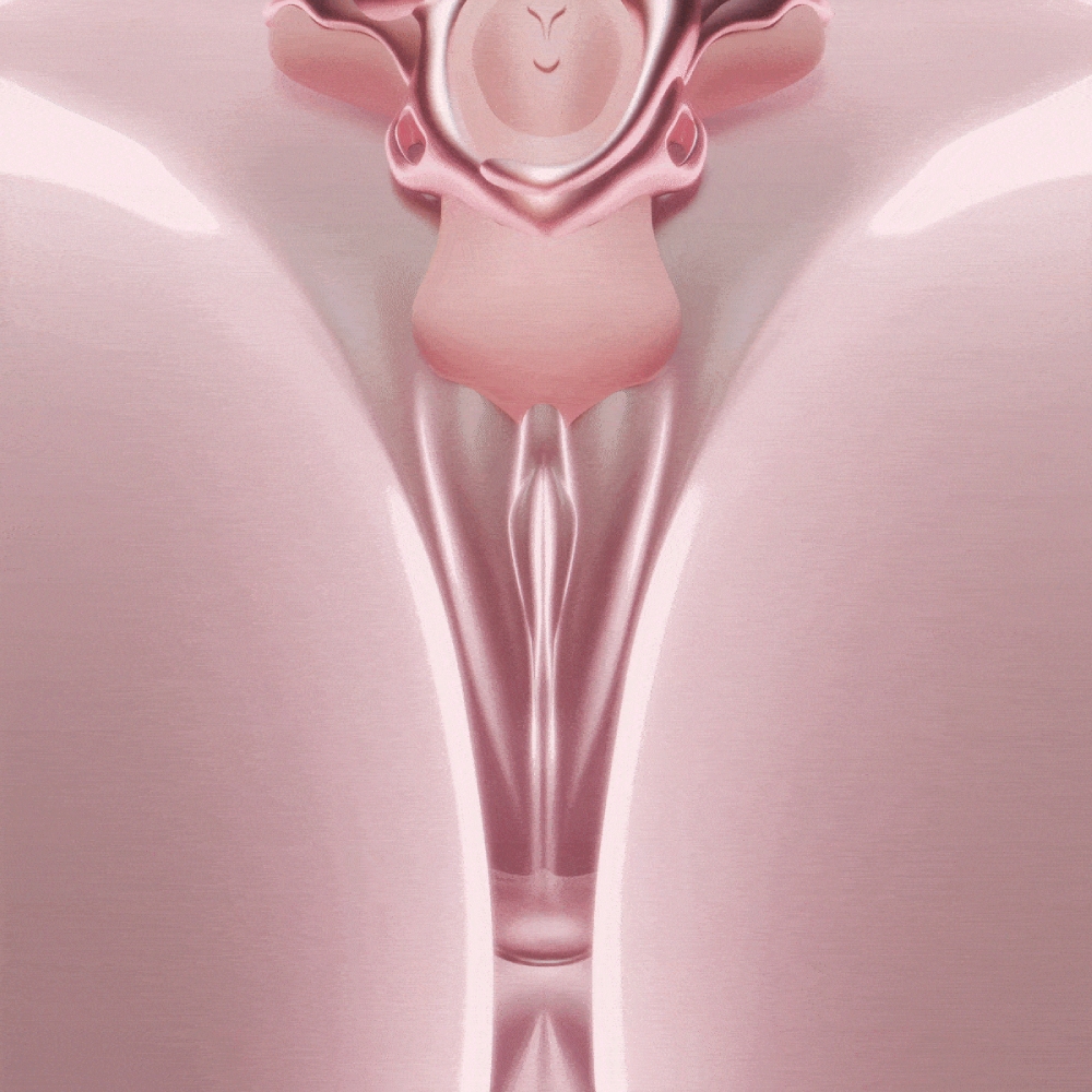 Вібропулі та міні-вібратори - Вібратор-трусики з пультом UPKO UEROS зі знімним віброяйцем, рожевий 11