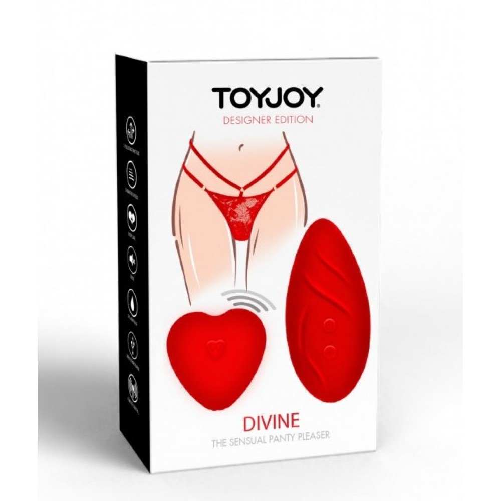 Секс игрушки - Вибратор в трусики с дистанционным пультом управления Toy Joy, трусики в комплекте 15