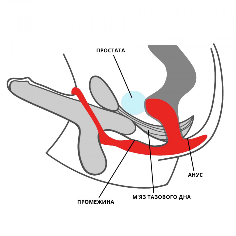 Анальные игрушки - Анальная пробка с эрекционным кольцом Fun Factory BOOTIE RING slate 5