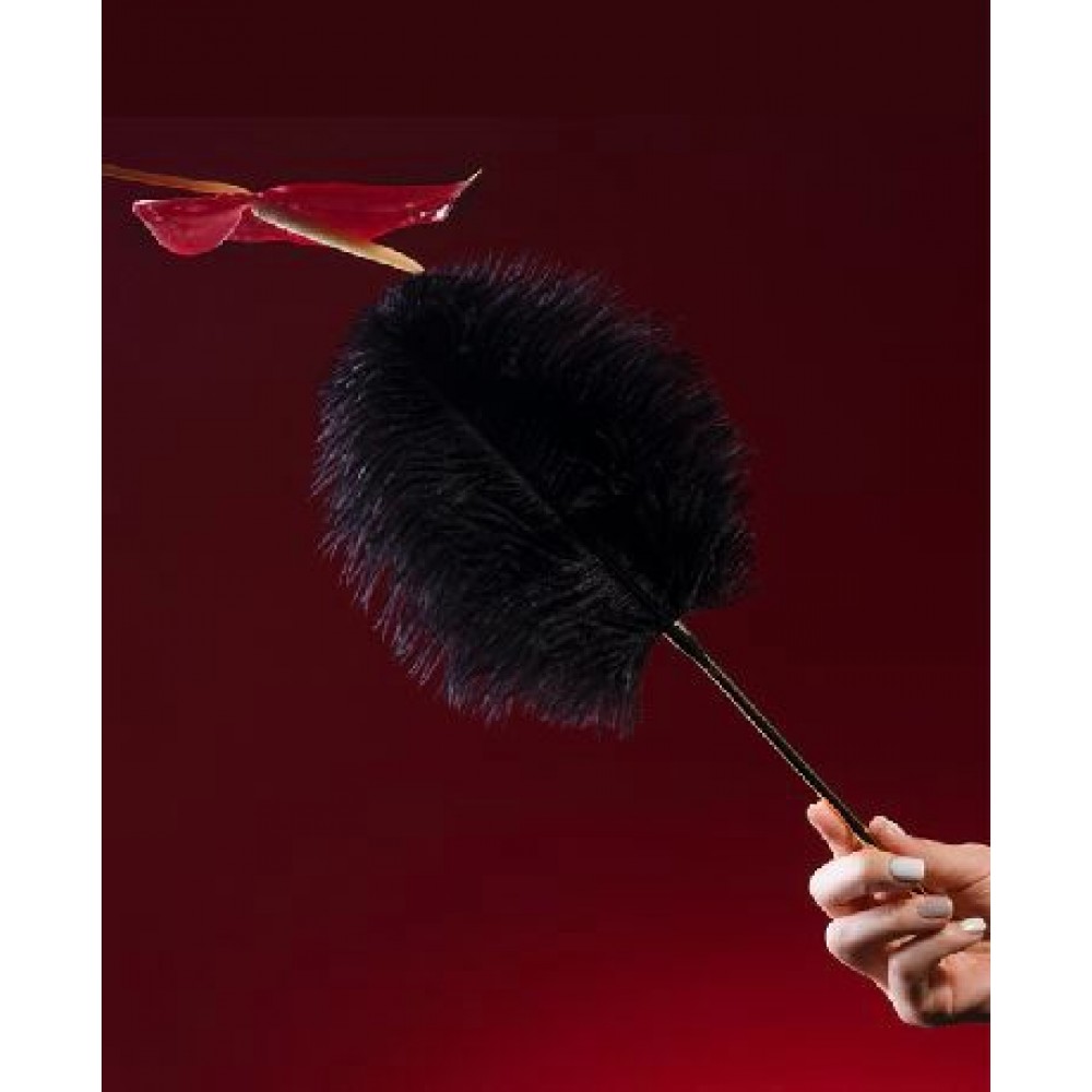 Різне - Набір для пристрасних вечорів 