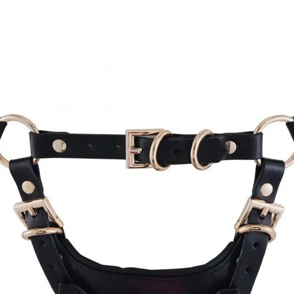 Страпони - Сбруя зі страпоном LOCKINK SEVANDA Queen Sheba Set with Pink Dildo 4