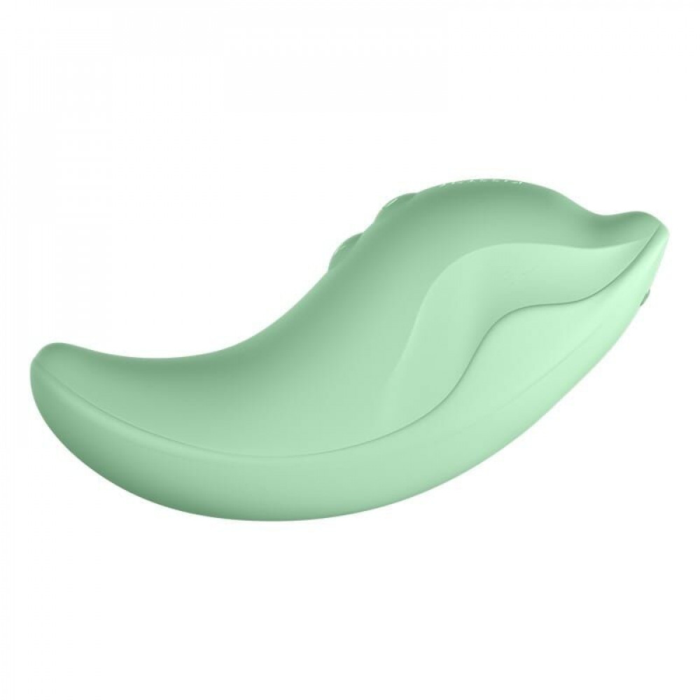 Вибропули и мини-вибраторы - Вибратор и клиторальный стимулятор KISSTOY Heidi Green