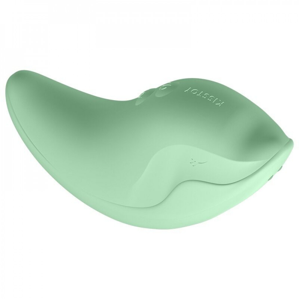 Вибропули и мини-вибраторы - Вибратор и клиторальный стимулятор KISSTOY Heidi Green 2