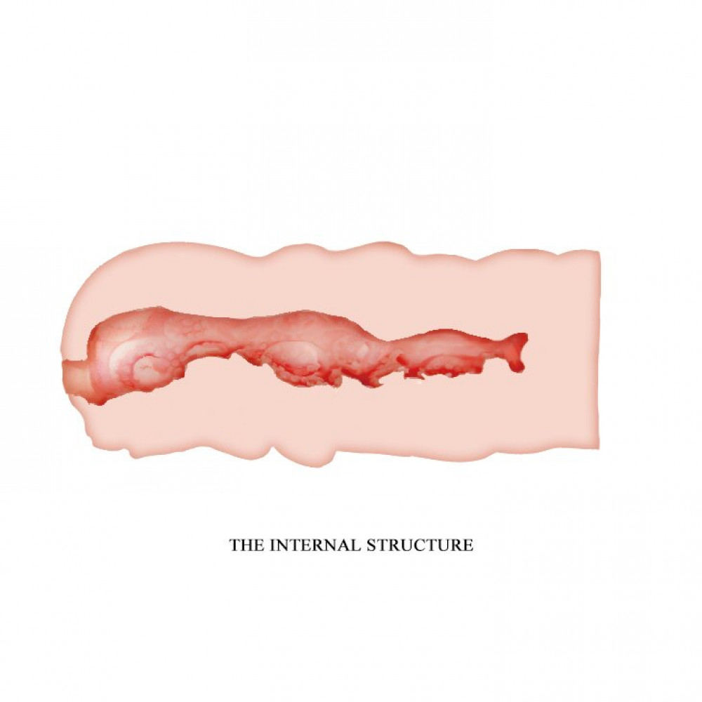  - Мастурбатор-вагина Crazy Bull - Isabel, BM-009156U 5