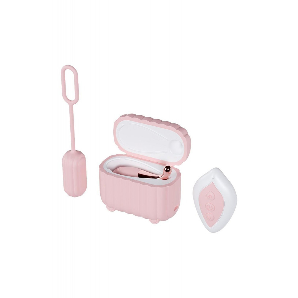 Разное - Набор вибраторов Blush Play With Me с пультом и кейсом, розовый, 2 шт 2