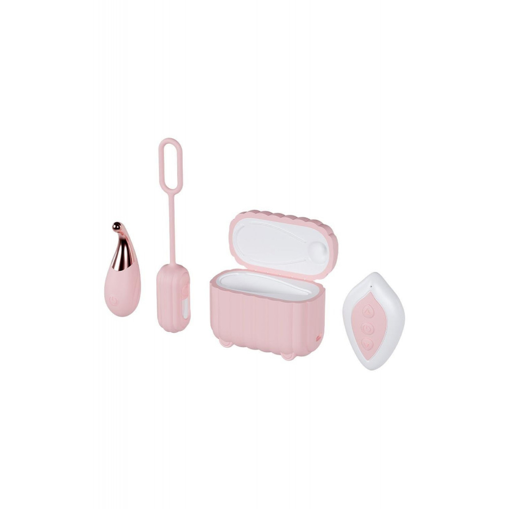 Разное - Набор вибраторов Blush Play With Me с пультом и кейсом, розовый, 2 шт