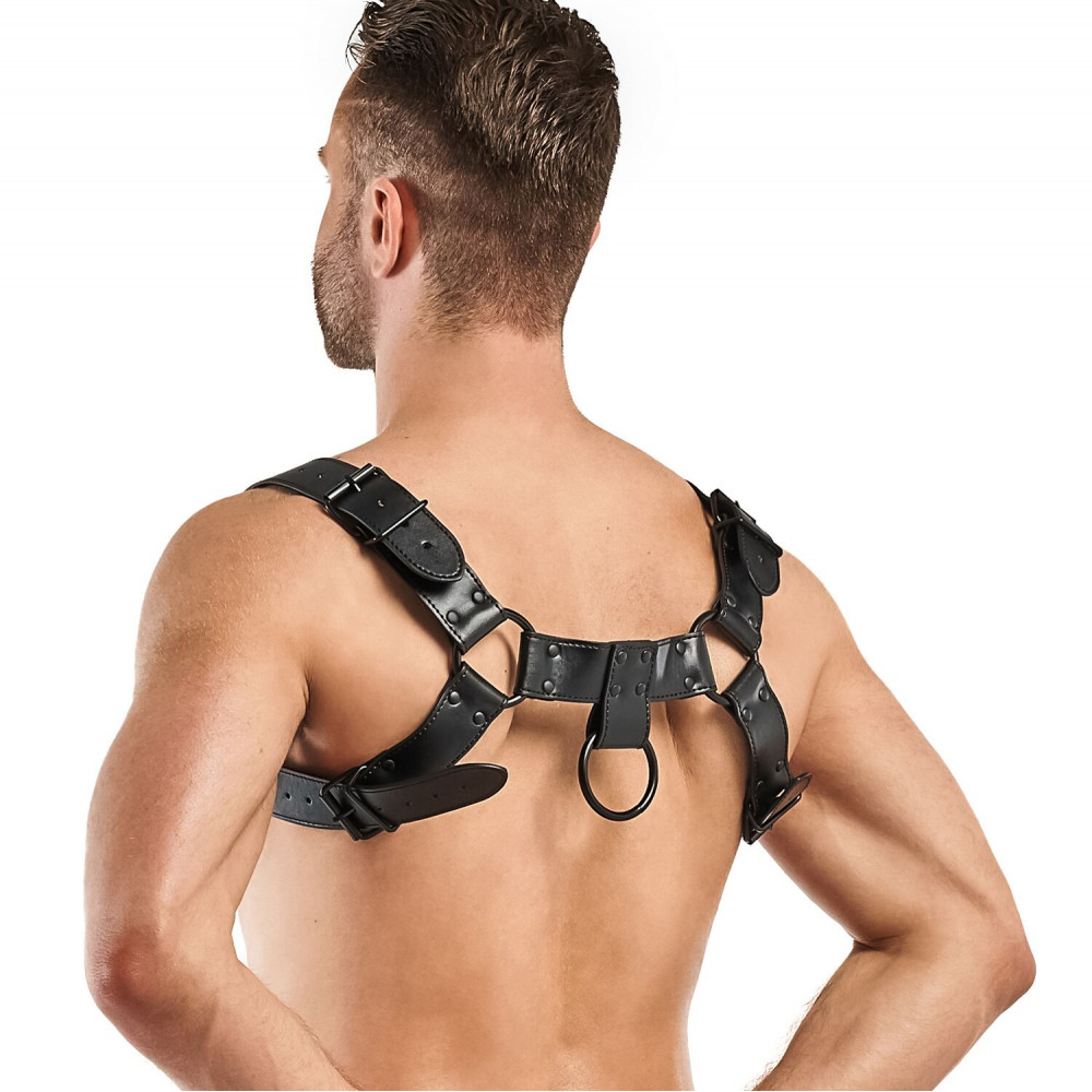 Чокеры, портупеи - Портупея Bedroom Fantasies Bruno Chest Bulldog Harness - Black 4