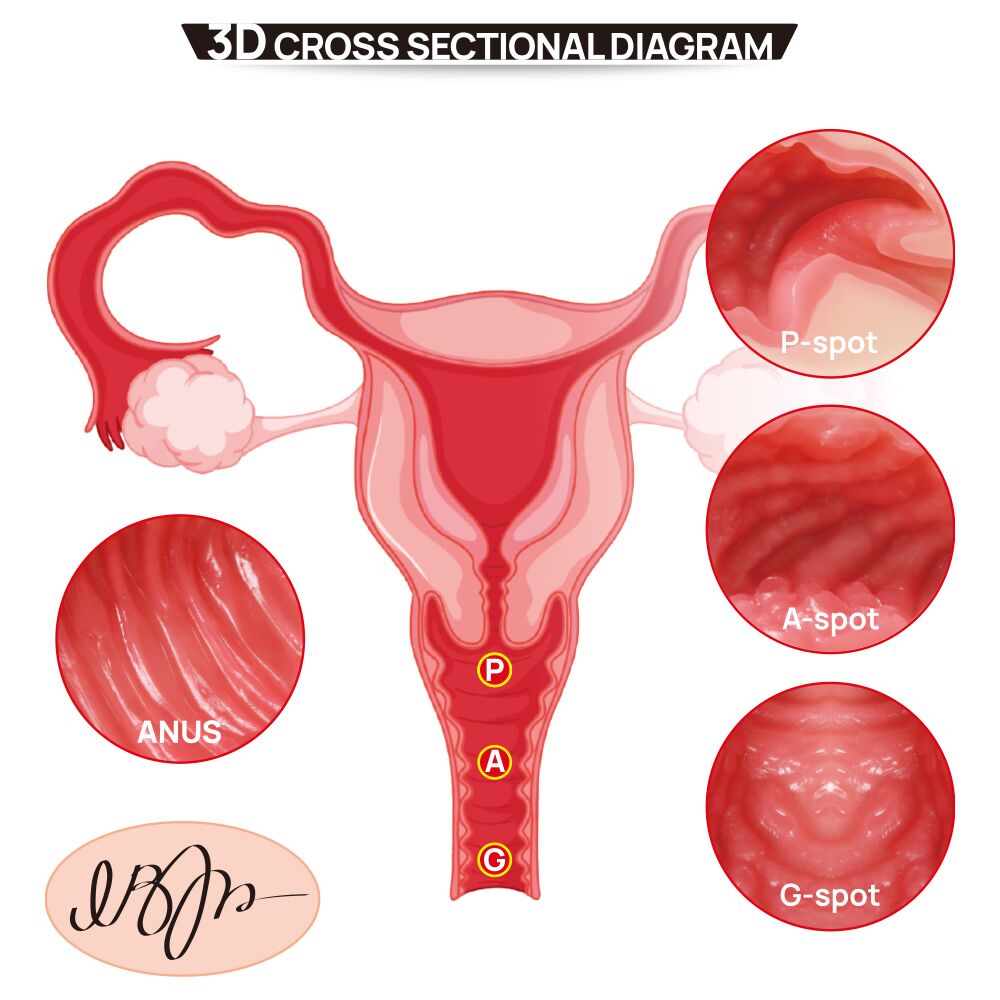 Мастурбаторы с вибрацией - Мастурбатор Kokos 004 Vailla ONAHOLE Real Vagina 2WayPlus с вибрацией и массажем 11