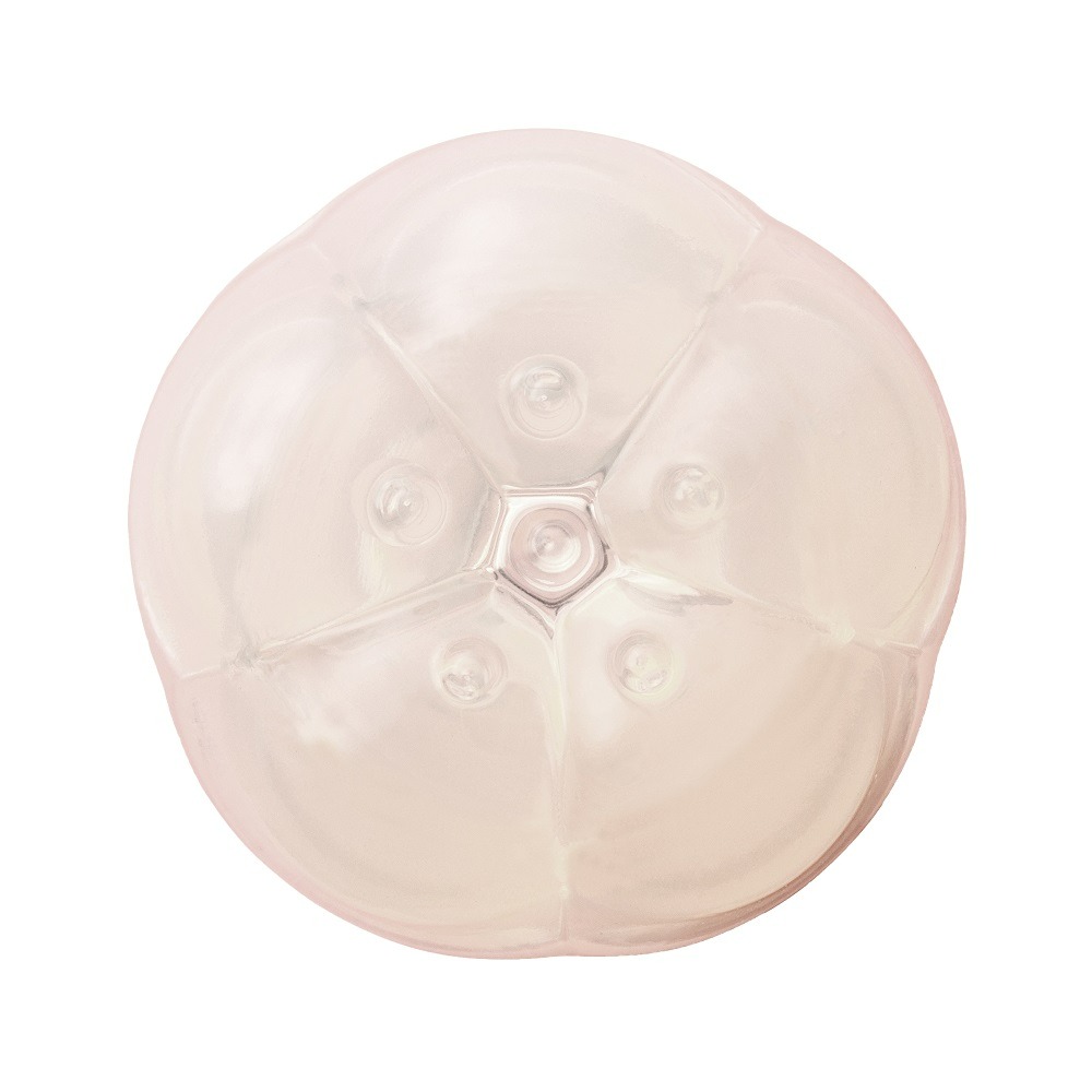 Секс игрушки - Массажер для клитора рельефный Iroha Petit Plum, белый, 5.3 х 3.5 см 7