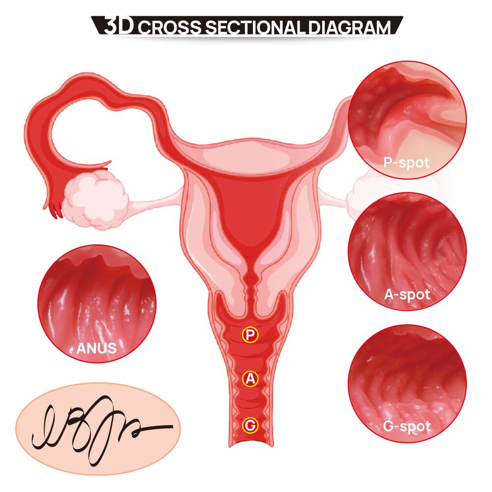 Мастурбаторы с вибрацией - Мастурбатор Kokos 004 Vailla ONAHOLE Real Hips 7