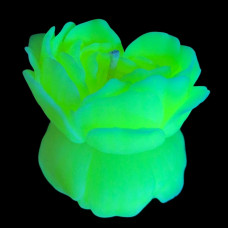 Cвiчка люмінісцентна низькотемпературна GlowKink салатова, L