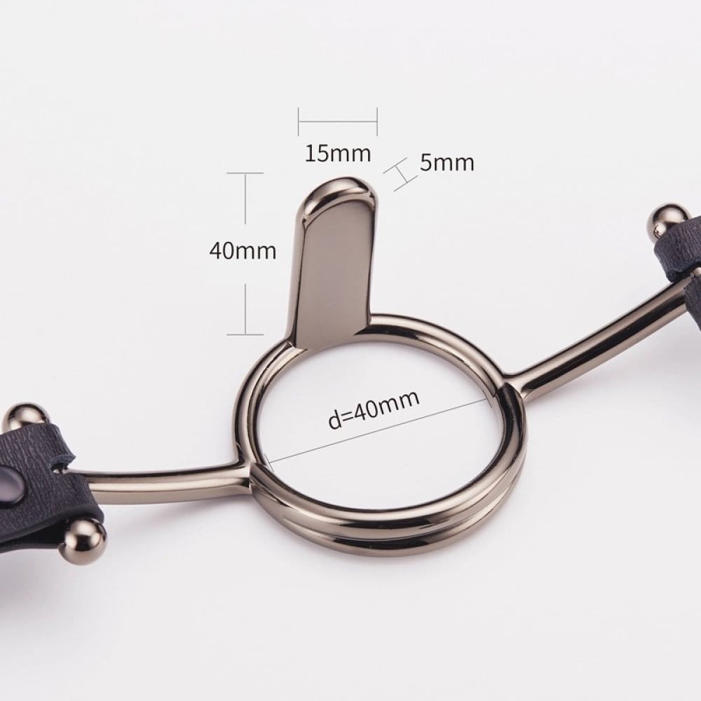 Різне - Кляп Roomfun з сріблястим кільцем-розширювачем, M 2