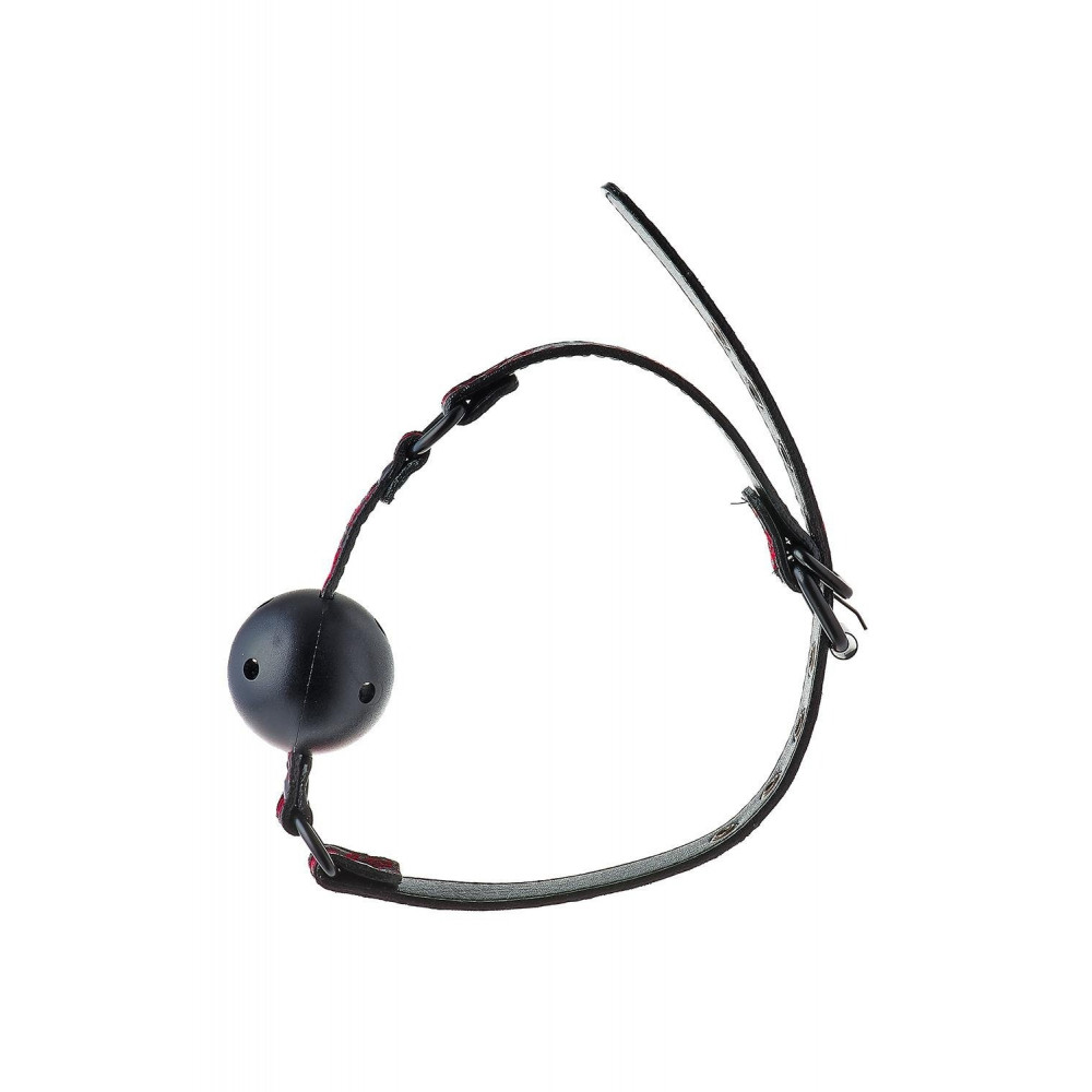  - Кляп черный Dream Toys Blaze Deluxe с красным узором в виде вышивки 6