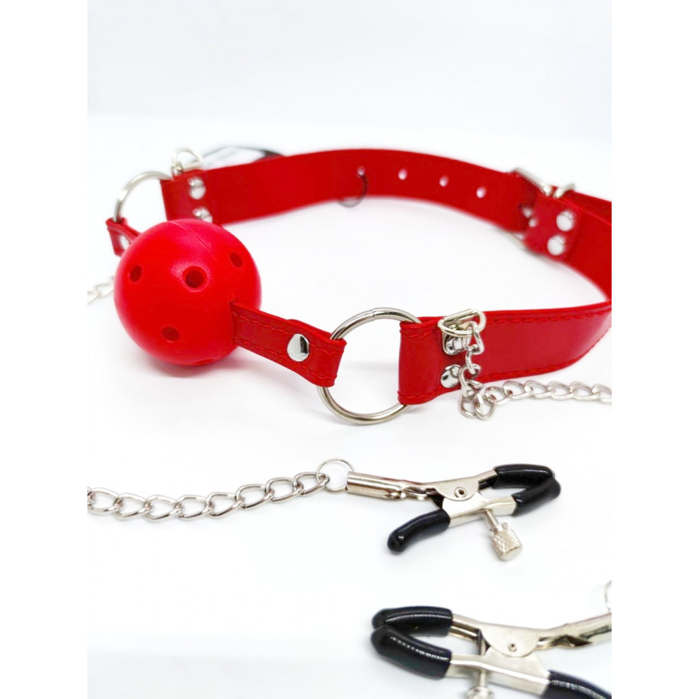 Разное - Кляп DS Fetish Ball gag with nipple clamps red 2