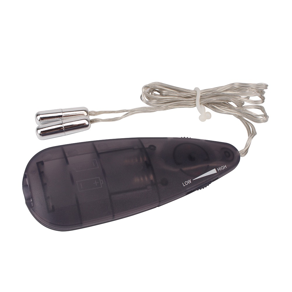  - Мини-вибропули серебристые CHISA Hi-Basic Mini Twins Bullet с черным проводным пультом 2