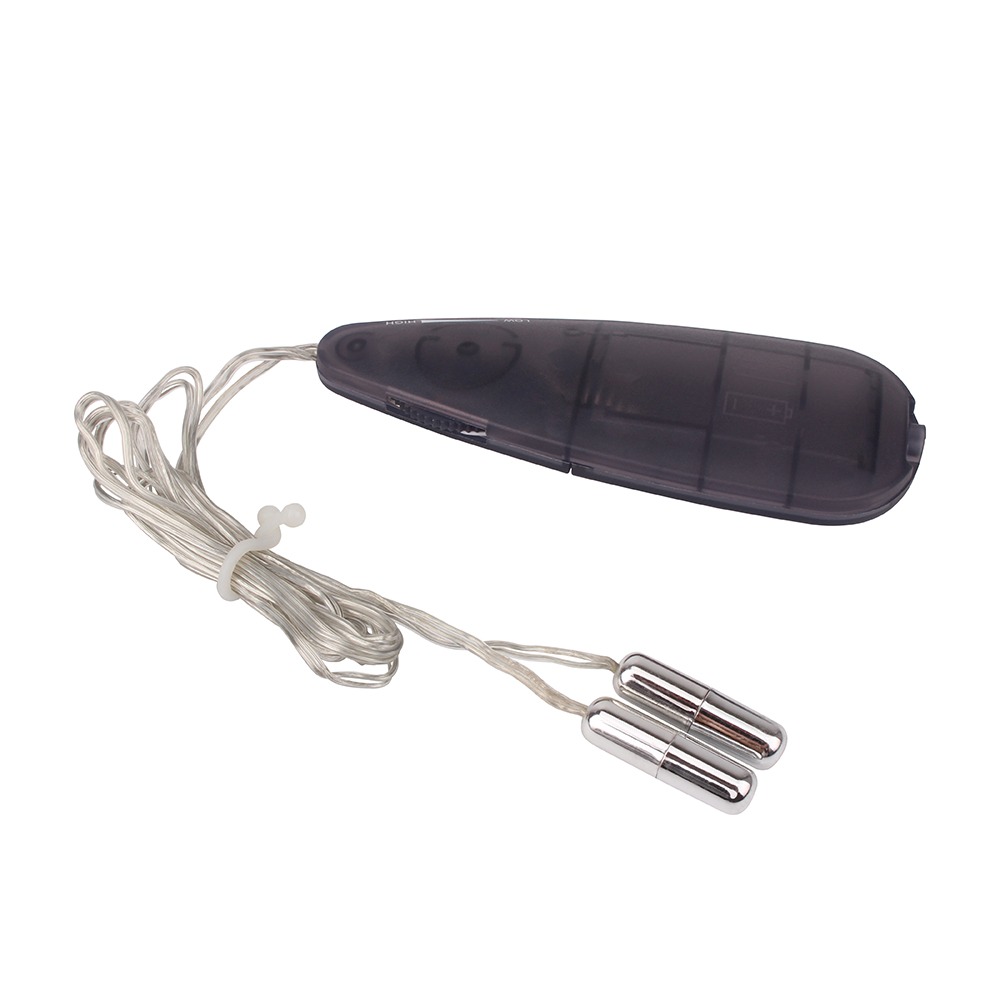  - Мини-вибропули серебристые CHISA Hi-Basic Mini Twins Bullet с черным проводным пультом 3