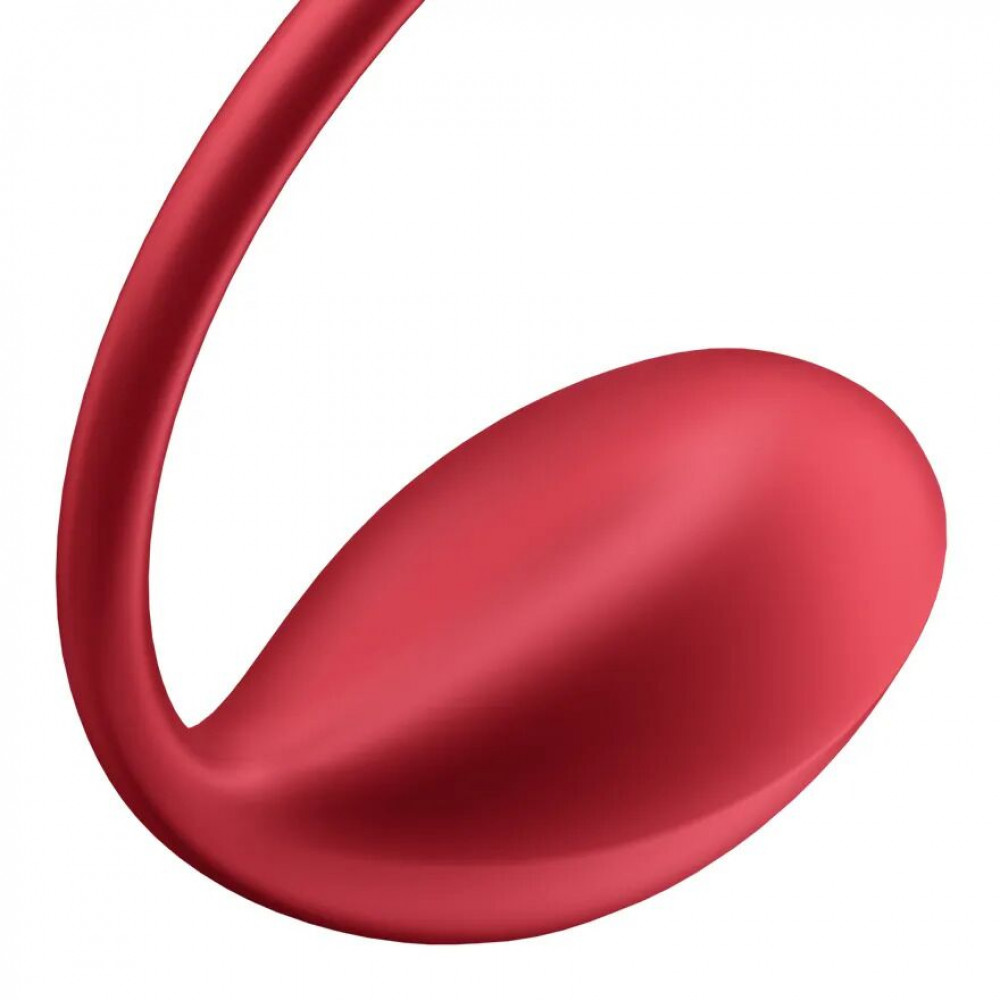 Виброяйцо - Виброяйцо Satisfyer Shiny Petal Connect App 2