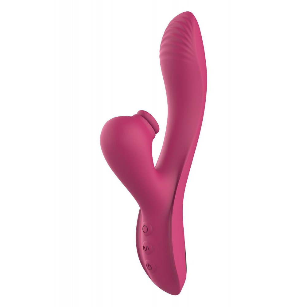Разное - Вибратор кролик двойной стимуляции Dream Toys Dual G-Spot Vibe Essentials, розовый 3