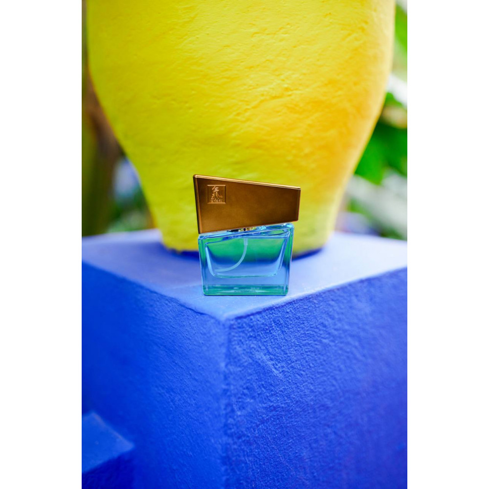 Разное - Духи с феромонами мужские SHIATSU Pheromone Fragrance men lightblue, 50 ml 1