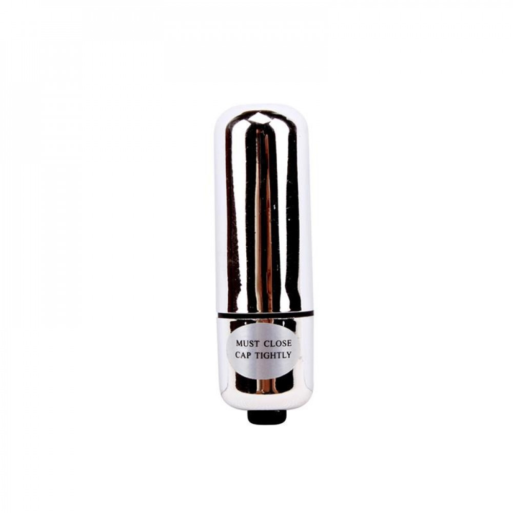 Разное - Вибропуля из ABS-пластика Chisa Hi-Basic, серебристая 2