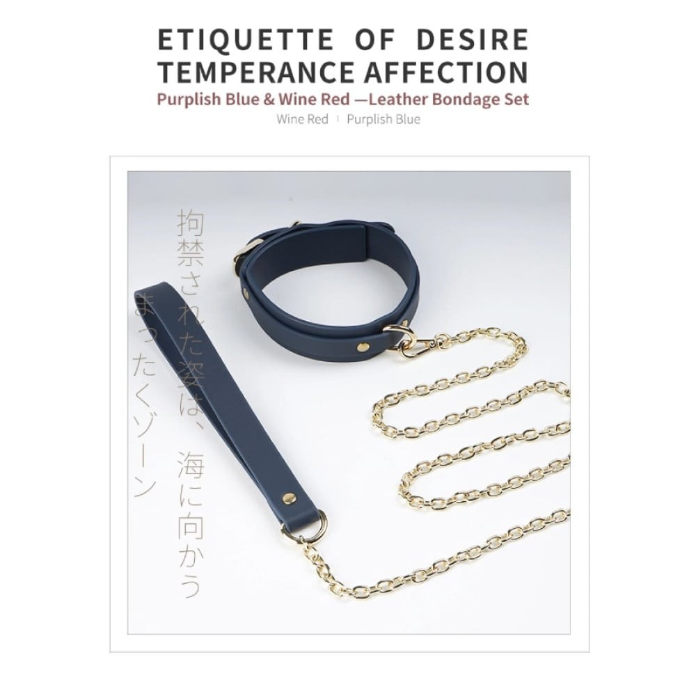 Різне - Нашийник з повідцем Romfun шкіряні, сині 4