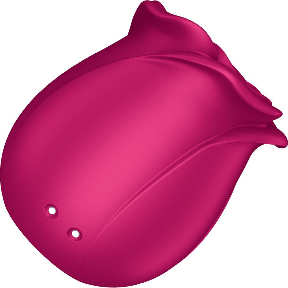 Секс игрушки - Вакуумный клиторальный стимулятор Satisfyer Pro 2 Classic Blossom (мятая упаковка!!!) 3