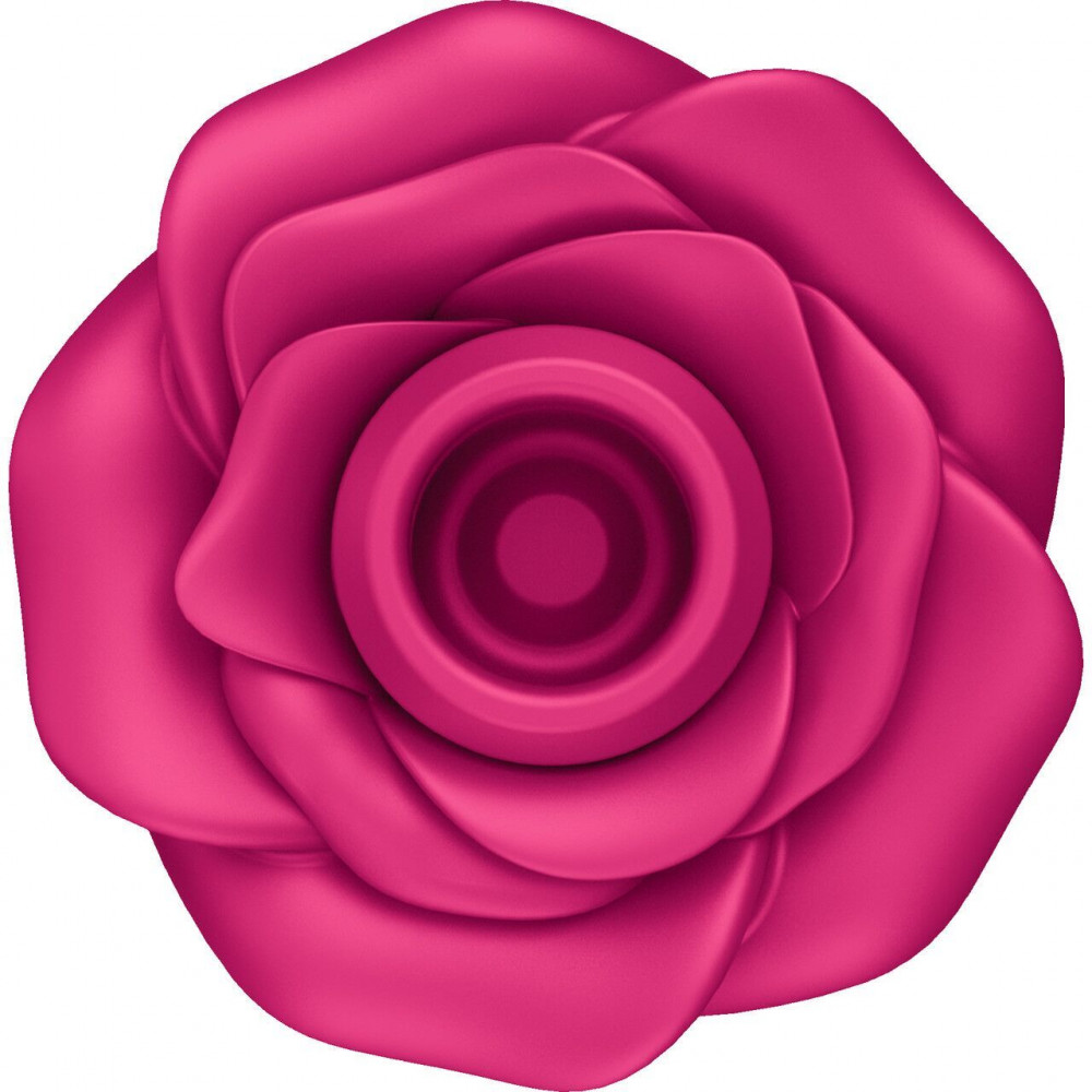 Секс игрушки - Вакуумный клиторальный стимулятор Satisfyer Pro 2 Classic Blossom (мятая упаковка!!!) 4