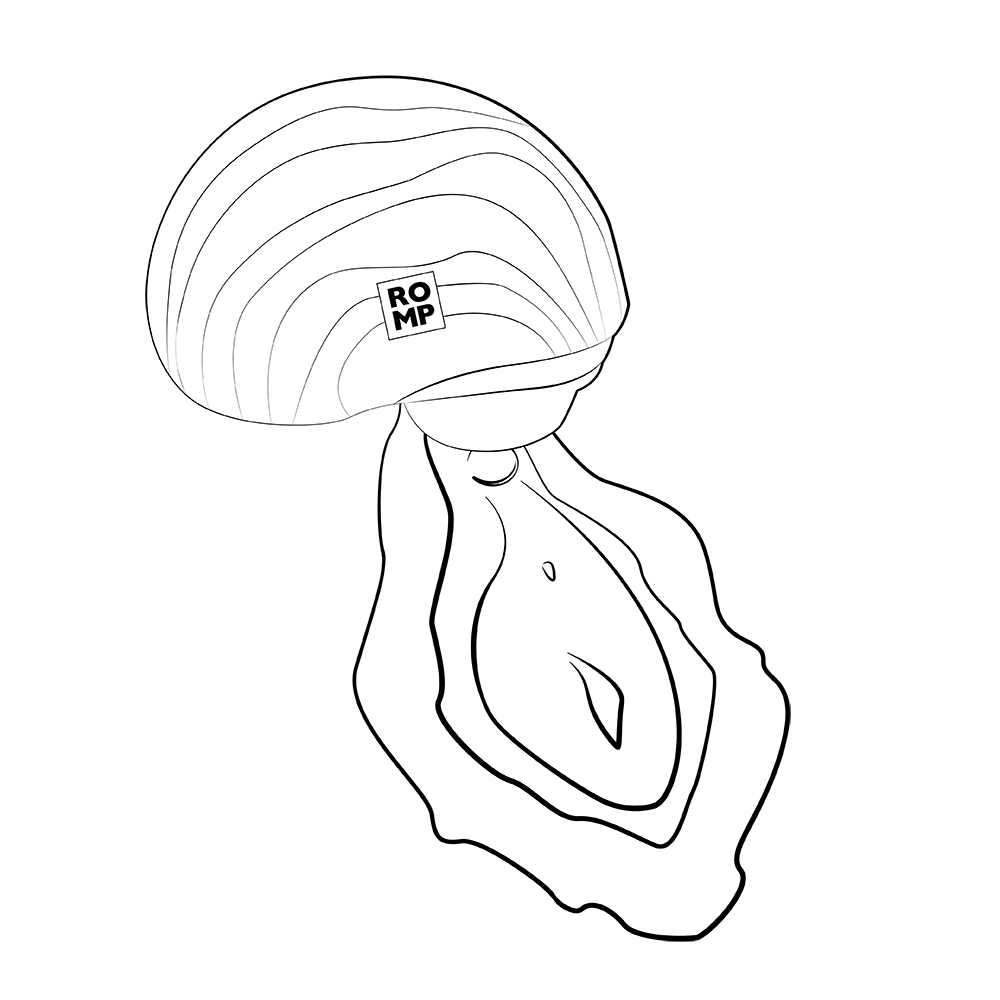 Вакуумний вібратор - Вакуумний стимулятор клітора ROMP Spin в тревел-форматі, рожевий 16