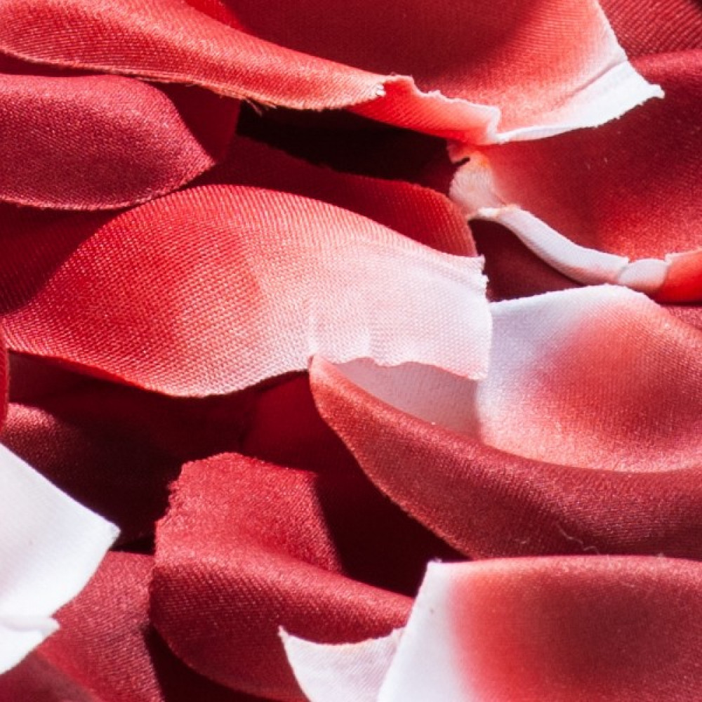  - Ароматизированные лепестки роз ROSE PETAL EXPLOSION 100 шт. Bijoux Indiscrets (Испания) 3
