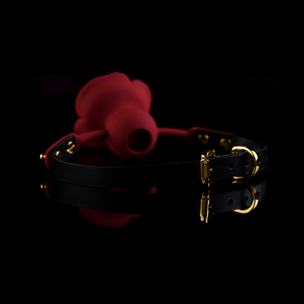 БДСМ игрушки - Кляп роза из силикона и итальянской кожи Rose Ball Gag UPKO 5