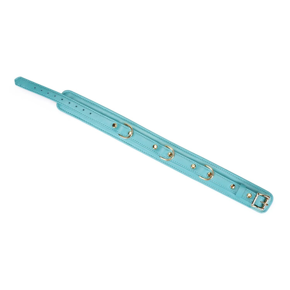 - Нашийник з повідцем Liebe Seele Blue Lamb Leather Collar with Velvet Lining 3