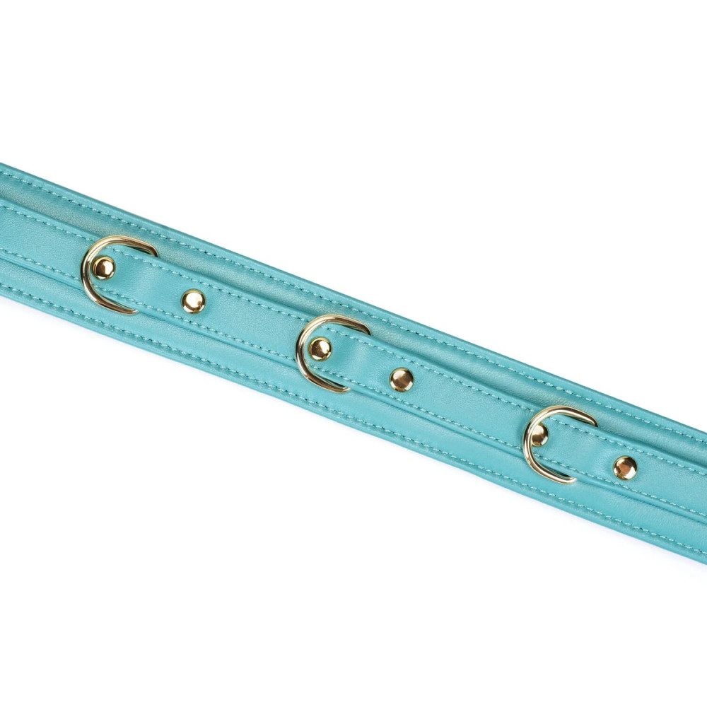 - Нашийник з повідцем Liebe Seele Blue Lamb Leather Collar with Velvet Lining 5